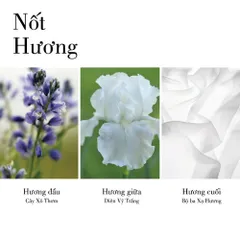 Nước Hoa Nữ Elizabeth Arden White Tea EDT Fullsize 100ml - Nữ Tính, Tinh Tế Và Lôi Cuốn