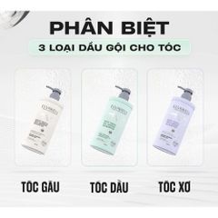 Bộ Dầu Gội Xả Nấm Truffle Elvawell 1000ml - Phục Hồi Tóc Hư Tổn, Giảm Gàu, Kiểm Soát Dầu Bết, Dưỡng Mềm Mượt