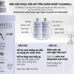 Bộ Dầu Gội Xả Nấm Truffle Elvawell 1000ml - Phục Hồi Tóc Hư Tổn, Giảm Gàu, Kiểm Soát Dầu Bết, Dưỡng Mềm Mượt
