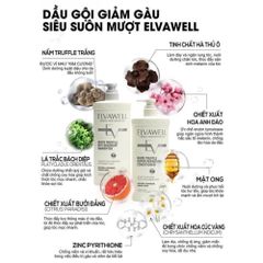 Bộ Dầu Gội Xả Nấm Truffle Elvawell 1000ml - Phục Hồi Tóc Hư Tổn, Giảm Gàu, Kiểm Soát Dầu Bết, Dưỡng Mềm Mượt