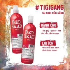 Dầu Gội Xả Tigi Bed Head Đỏ 750ml – Phục Hồi Tóc Hư Tổn Cấp Độ 3, Suôn Mượt, Giảm Xơ Rối 387931