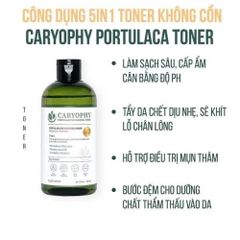 Nước Hoa Hồng Caryophy Portulaca Toner 300ml - Giảm Mụn, Làm Dịu Da, Cân Bằng pH, Chăm Sóc Da Dầu, Thương Hiệu Hàn Quốc