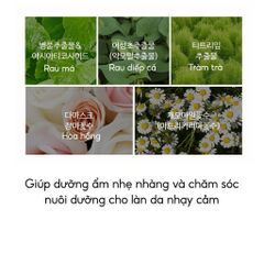 Kem Chống Nắng The Saem Eco Earth Power SPF50+ PA++++ 50ml - Dưỡng Ẩm, Nâng Tone, Bảo Vệ Da Tối Ưu cho Da Nhạy Cảm