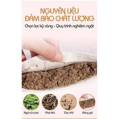 Thảm Gối Ngải Cứu Đông Y BIOSLEEP – Thư Giãn, Giữ Ấm, Giảm Đau Mỏi, Nhập Khẩu Chính Hãng 388346