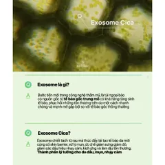 Bộ Line Dưỡng Medicube Exosome Cica – Làm Dịu, Giảm Mụn, Phục Hồi Da Nhạy Cảm, Dưỡng Ẩm, Căng Mịn 388352