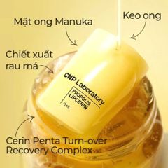 Bộ Đôi Dưỡng Da Tay & Môi CNP Propolis – Giải Pháp Cấp Ẩm & Phục Hồi Toàn Diện 388360