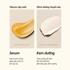 Kem Dưỡng D'Alba White Truffle Vita Toning Capsule Cream 55g - Dưỡng Da Căng Bóng, Cấp Ẩm, Chống Lão Hóa, Phục Hồi Đàn Hồi Da