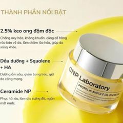 Kem Dưỡng Ẩm CNP Propolis Ampule Oil In Cream 50g - Cấp Ẩm Sâu, Phục Hồi Da Yếu Từ Hàn Quốc, Dưỡng Ẩm Chuyên Sâu, Giữ Ẩm Suốt Ngày