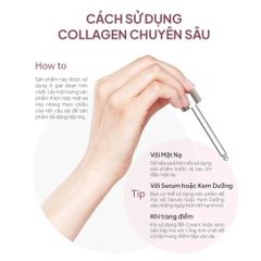 Bộ Ba Tinh Chất Dưỡng Da Maxclinic - Cấp Ẩm, Sáng Da, Ngăn Lão Hóa - Serum Vitamin C, Hyaluronic Acid, Collagen