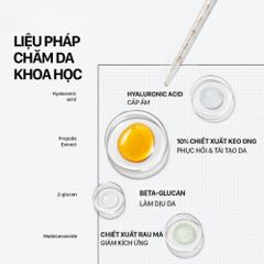 Tinh Chất Serum CNP Laboratory Propolis Energy Ampule 35ml - Phục Hồi Da Nhạy Cảm, Dưỡng Ẩm Chuyên Sâu, Làm Dịu và Tăng Độ Đàn Hồi