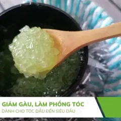 Tẩy Tế Bào Chết Da Đầu Café Mimi Shampoo Scrub – 2 Dòng Cho Tóc Dầu & Tóc Yếu Rụng 388681
