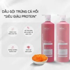 Dầu Gội Xả Mixrs Glaric 500ml-800ml – Giúp Tóc Suôn Mượt, Giảm Gàu, Giảm Gãy Rụng & Phục Hồi Hư Tổn 388734