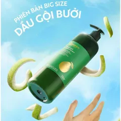 Dầu Gội & Dầu Xả Bưởi Cocoon 500ml – Giảm Gãy Rụng & Kích Thích Mọc Tóc 388749