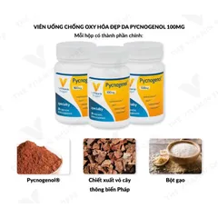 Viên uống chống oxy hóa đẹp da THE VITAMIN SHOPPE Pycnogenol 100 MG 30v 389295