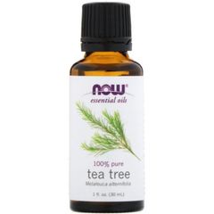 [Date 4/2025] Tinh dầu tràm trà Now Organic Essential Oils Tea Tree 30ml 389321