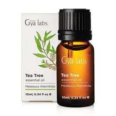 [Hàng Mỹ] Tinh dầu tràm trà Tea Tree Oil Gya Labs nguyên chất 10ml 389389