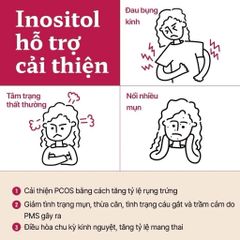 Thực phẩm bổ sung NOW Choline & Inositol 100 viên - Hỗ trợ chức năng não bộ, trí nhớ và giảm stress tự nhiên