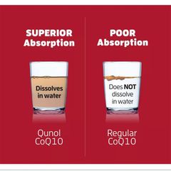 [HD 08/27] Viên phòng đột quy. tim mạch Qunol Mega CoQ10 Ubiquinol 100mg 120v - Small Family