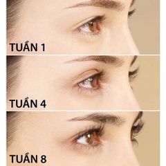 Serum Dưỡng Mi FKN Chính Hãng Ban Ngày Màu Trắng - Kích Mọc Dài và Ngăn Gãy Rụng Mi 5ml