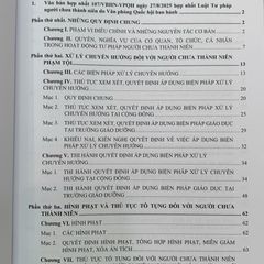 Luật Tư pháp Người Chưa Thành Niên 2025 - Sách Hướng Dẫn Quy Định Hình Sự và Thủ Tục Tố Tụng Đối Với Người Dưới 18 Tuổi