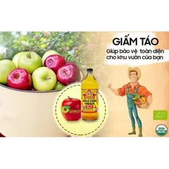 [Hàng nội địa Mỹ] Giấm Táo Hữu Cơ Bragg - Shop Songvy