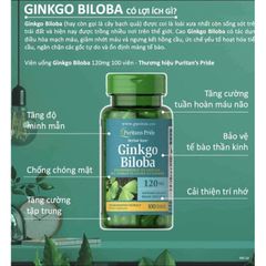 Viên uống bổ não Ginkgo Biloba 120mg Puritan's Pride - Hỗ trợ tuần hoàn não, tăng cường trí nhớ, giảm chóng mặt, đau đầu