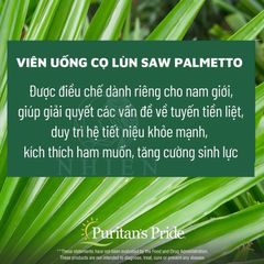 [Date 9/2028]Hỗ trợ đường tiết niệu và tuyến tiền liệt Saw Palmetto 450 mg Puritan’s Pride