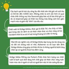[Date 2028] Viên uống tuần hoàn não Ginkgo Biloba 120mg Puritan's Pride