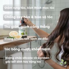 Combo Dầu Gội Tinh Dầu Vỏ Bưởi & Dầu Xả Sữa Dừa Lam Mộc – Giảm Rụng Tóc, Kích Mọc Tóc Mới, Dưỡng Mượt Tự Nhiên Cho Nam Nữ