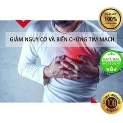 Vòng Tay Y Học Lượng Tử Terahertz - Điều Hòa Huyết Áp, Phòng Chống Tai Biến, Hỗ Trợ Giấc Ngủ Ngon, Sức Khỏe Tim Mạch