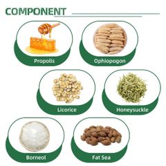 Chai Xịt Nhiệt Miệng Thảo Mộc - Giảm Đau, Ngăn Ngừa Lở Miệng và Loét Miệng - Kháng Khuẩn Tự Nhiên An Toàn cho Răng Miệng