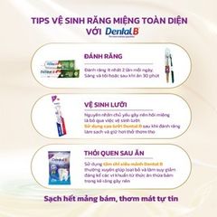 Combo 2 Bàn Chải Đánh Răng Dental B Cao Cấp Siêu Mềm - Chống Viêm Lợi, Sạch Mảng Bám, Hơi Thở Thơm Mát
