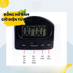 Đồng hồ bấm giờ 331 (TV1414)