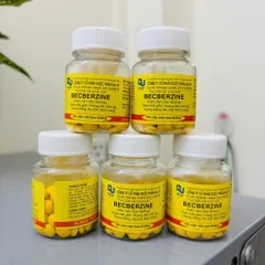 Viên Uống Berberin Hỗ Trợ Tiêu Hóa Đầy Bụng Tiêu Chảy - 100 Viên Chiết Xuất Từ Thiên Nhiên Tăng Cường Sức Khỏe
