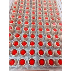 Thỏi Son Dưỡng Collagen Đỏ Cam - Dưỡng Môi Sau Xăm, Kích Màu Môi Hồng Tươi Tắn, An Toàn Cho Mẹ Bầu