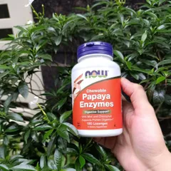 Viên Ngậm Hỗ Trợ Tiêu Hóa Now Papaya Enzymes - Hương Bạc Hà Sảng Khoái, Giải Quyết Đầy Hơi, Khó Tiêu, Vegan