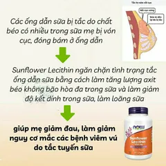[ Date 2028] Viên uống chống tắc tia sữa Now Sunflower Lecithin 1200mg