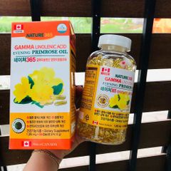 Viên Uống Tinh Dầu Hoa Anh Thảo Hàn Quốc Gamma Linolenic Acid Hộp 365 Viên