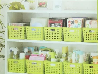 Giỏ nhựa đựng đồ dáng sâu màu xanh Nhật Bản - Giải pháp lưu trữ tiện lợi cho mọi không gian sống