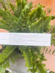 Vi Gai Meso Collagen 10ml - Kem Dưỡng Da Căng Bóng, Ngăn Ngừa Lão Hóa, Làm Mờ Thâm Nám, Tàn Nhang, Da Mịn Màng Sáng Khỏe