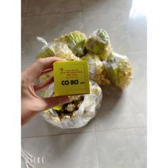 Combo 10 Hộp Kem Cô Bơ Khử Thâm Nách - Giảm Mùi Hôi, Dưỡng Trắng Da An Toàn Cho Mọi Đối Tượng Sử Dụng
