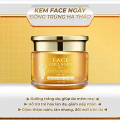Kem Face Ngày Đông Trùng Hạ Thảo X3 - Chính Hãng Mỹ Phẩm Đông Anh - Dưỡng Da Tươi Trẻ, 15g