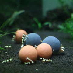 Viên Khoáng Tourmaline BeeBall - Bổ Sung Khoáng Vi Lượng Cho Bể Tép, Cải Thiện Lột Vỏ Và Màu Sắc Cá Cảnh | 200g