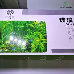 Đầu In Thủy Tinh Trong Suốt Phi 16mm - Ống Lọc Váng Cho Hồ Cá Thủy Sinh, Phụ Kiện Thẩm Mỹ Bể Cá 399808