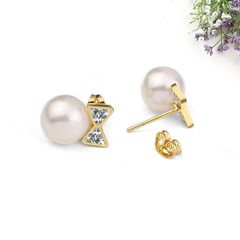 Bông tai nữ inox không đen giá rẻ PTBTNT50 400963