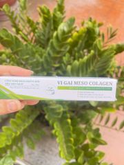 Vi Gai Collagen Meso Siêu Nhỏ - Dưỡng Trắng Da, Làm Sạch Lỗ Chân Lông, Giảm Mụn, Tăng Độ Đàn Hồi Da, Sáng Mịn, Chăm Sóc Da Chuyên Sâu