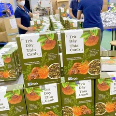 Trà Sâm Dây Thìa Canh Mộc Tâm - Thảo Mộc Hỗ Trợ Tiểu Đường & Gan Nhiễm Mỡ, Dễ Uống