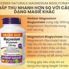 Magnesium Bisglycinate L/120v Webber Naturals - Thực Phẩm Chức Năng Hỗ