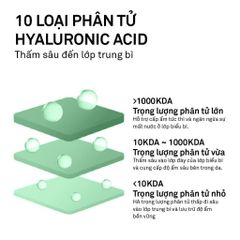 [Hàng Cty] Mặt Nạ Dưỡng Ẩm Candid Hyaluronic B5 Water Gel Mask 