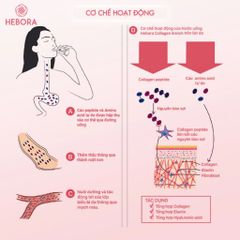 Nước Uống Collagen Hebora Enrich 500ml - Hỗ Trợ Làm Đẹp Da, Giảm Lão Hóa, Dạng Túi 28 Gói - Hàng Nhập Khẩu Nhật Bản